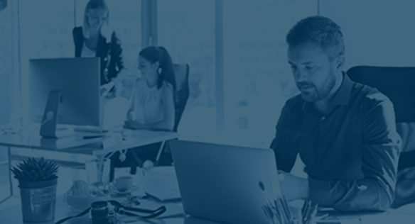 Focus Area Job Roles